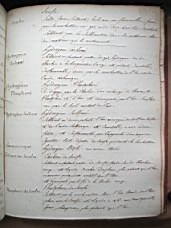 Thenard_1_0175.JPG