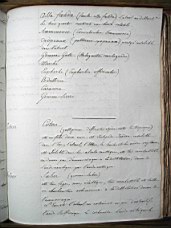 Thenard_2_0265.JPG