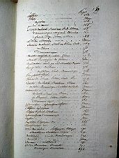 thenard_3_0478.JPG