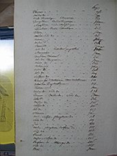 thenard_3_0479.JPG